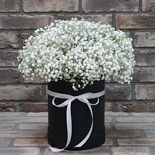 Цветочная композиция из Гипсофила в шляпной коробке в Подкумке