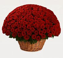 Премиум букет из: Розы в Подкумке