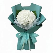 Букет цветов из:  Гортензия #REPLACE_PRED# Подкумке